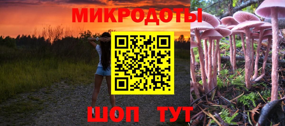 хочу   Вход с VPN  Кисловодск  Галлюциногенные грибы Psilocybe 