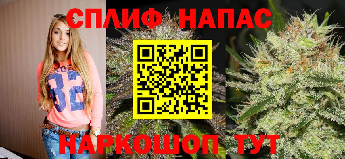 Бошки Шишки сатива Кисловодск